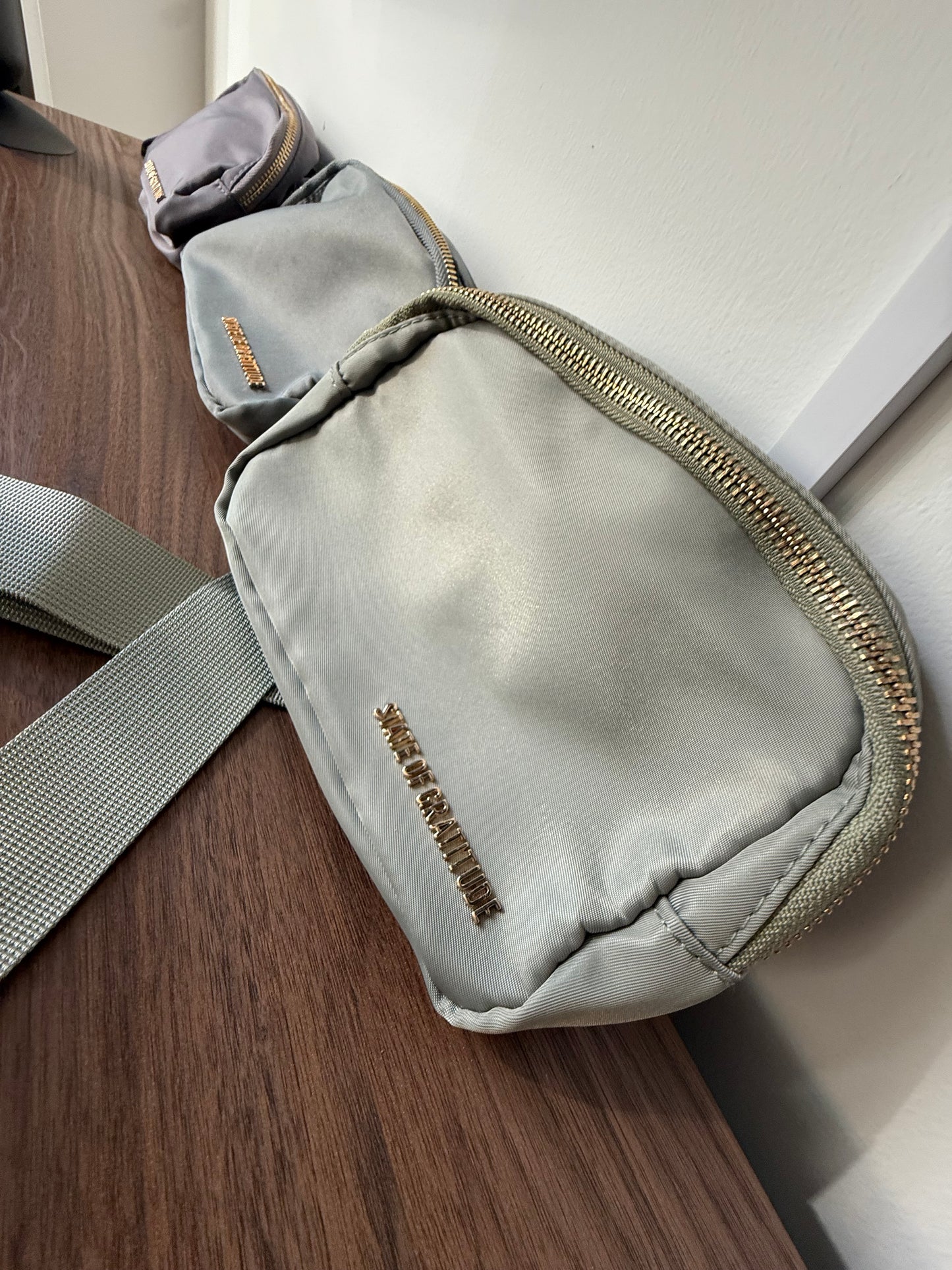The Belt Bag