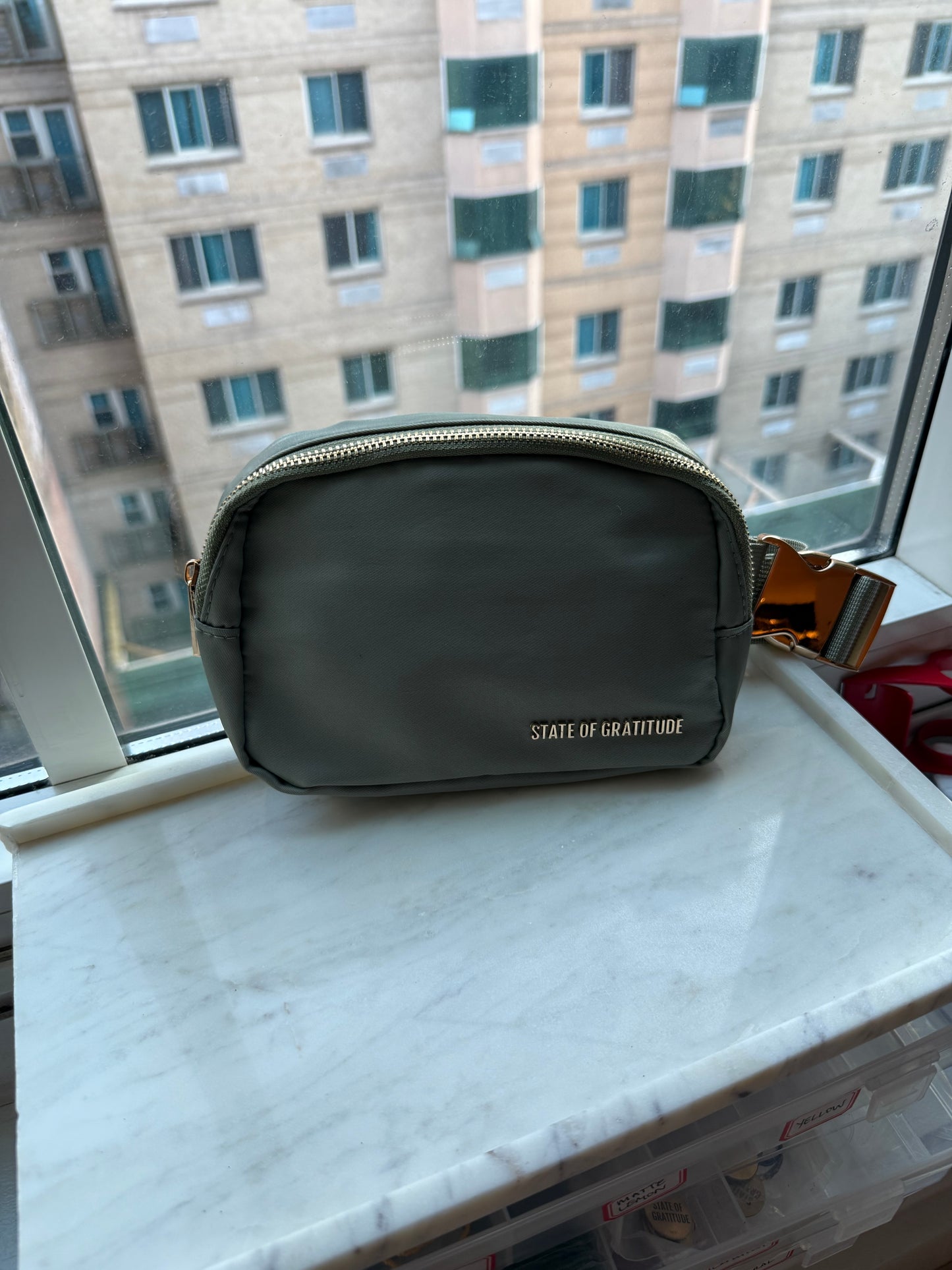 The Belt Bag