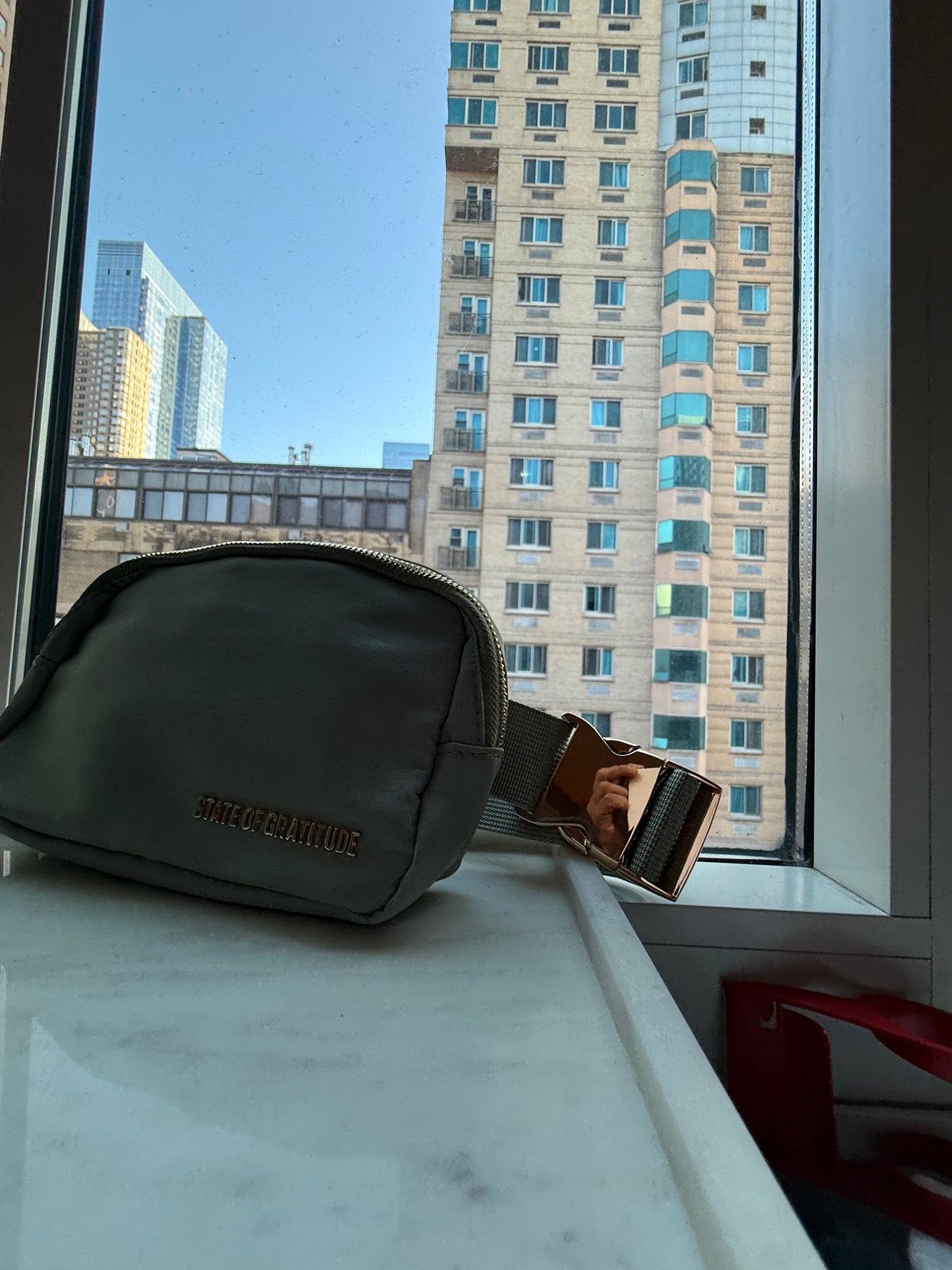 The Belt Bag