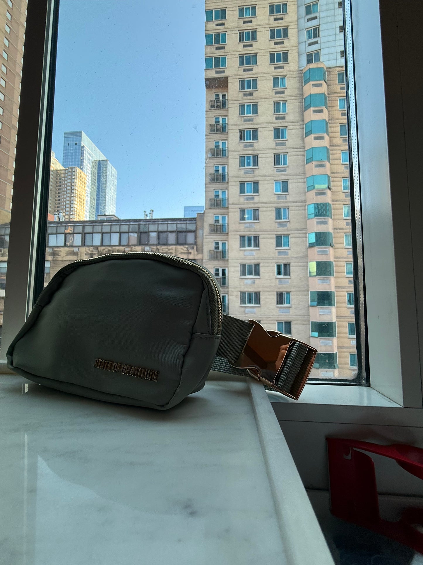 The Belt Bag