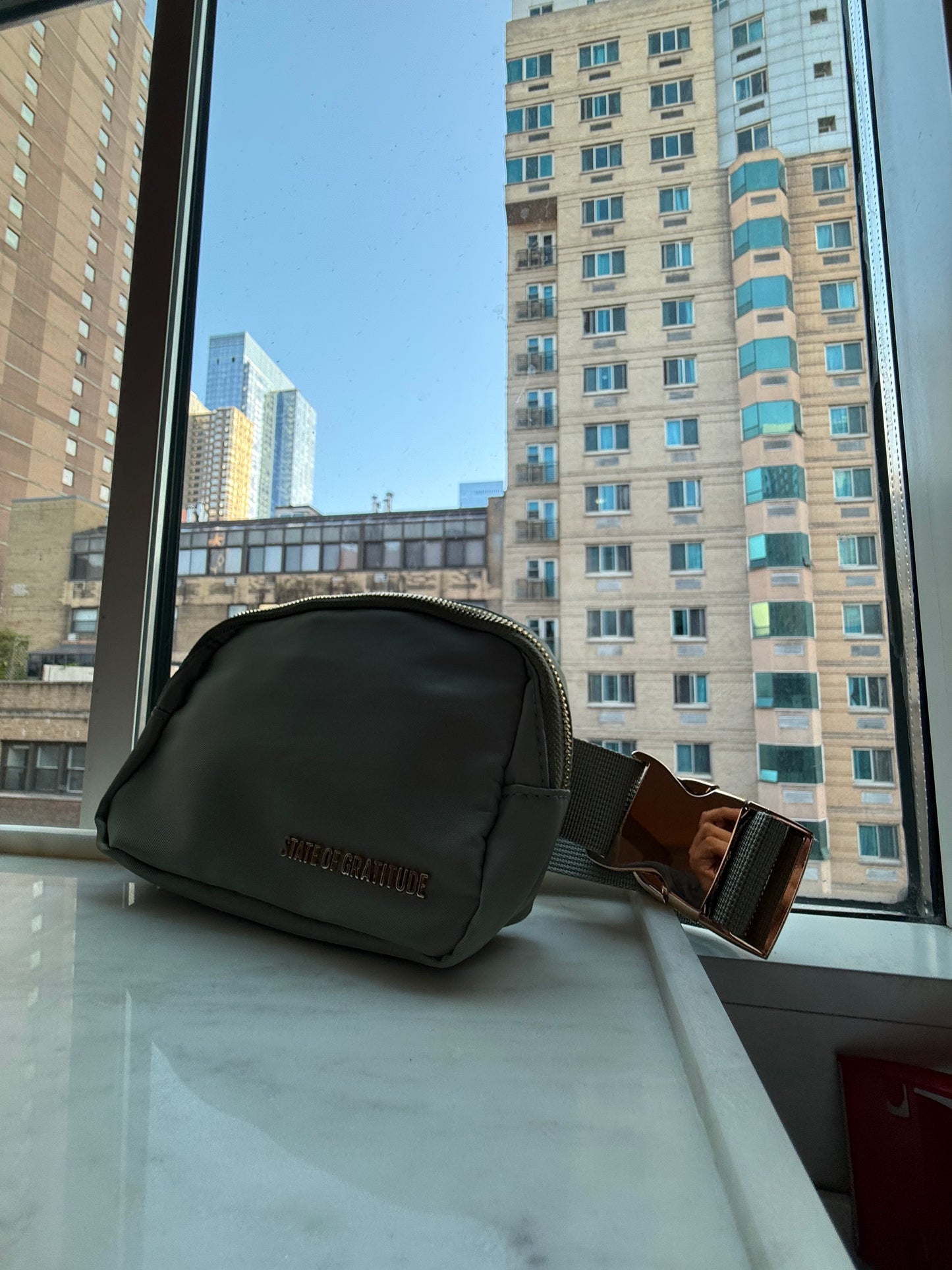 The Belt Bag