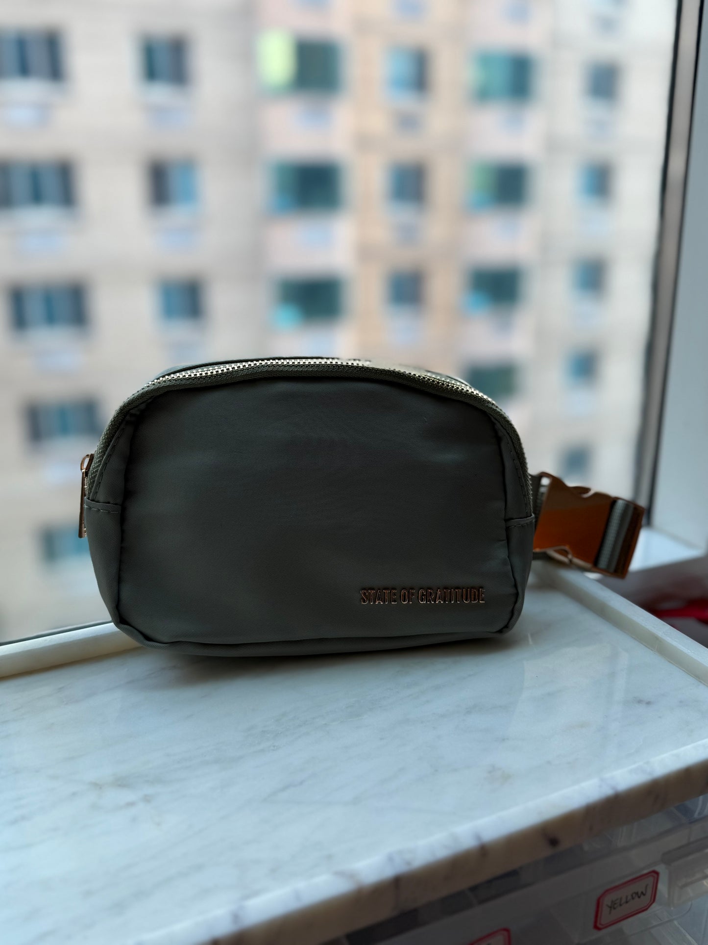 The Belt Bag