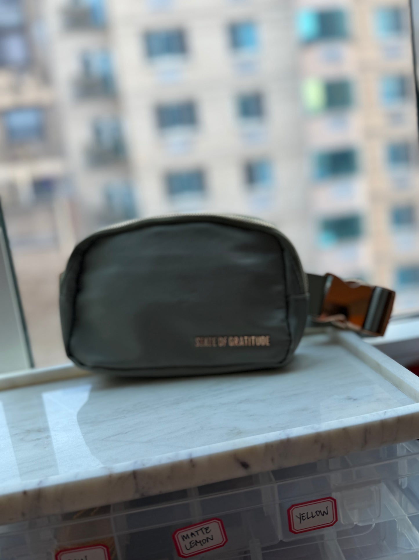 The Belt Bag