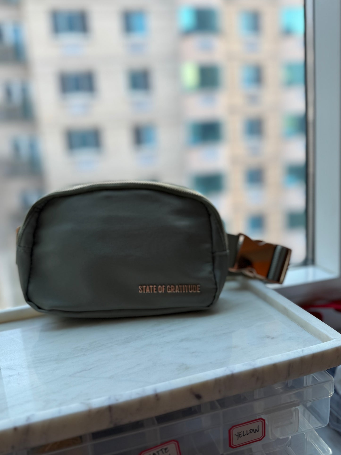 The Belt Bag