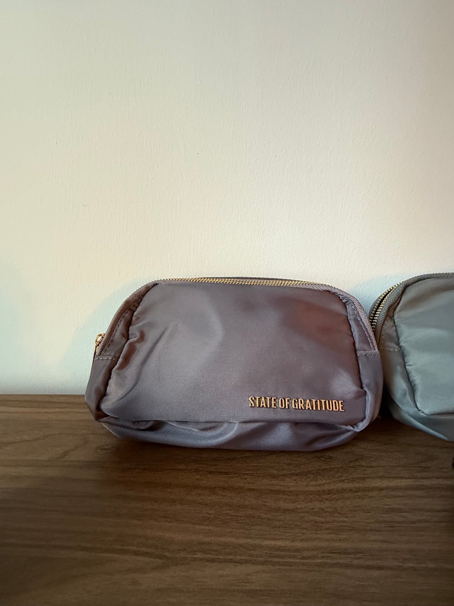 The Belt Bag