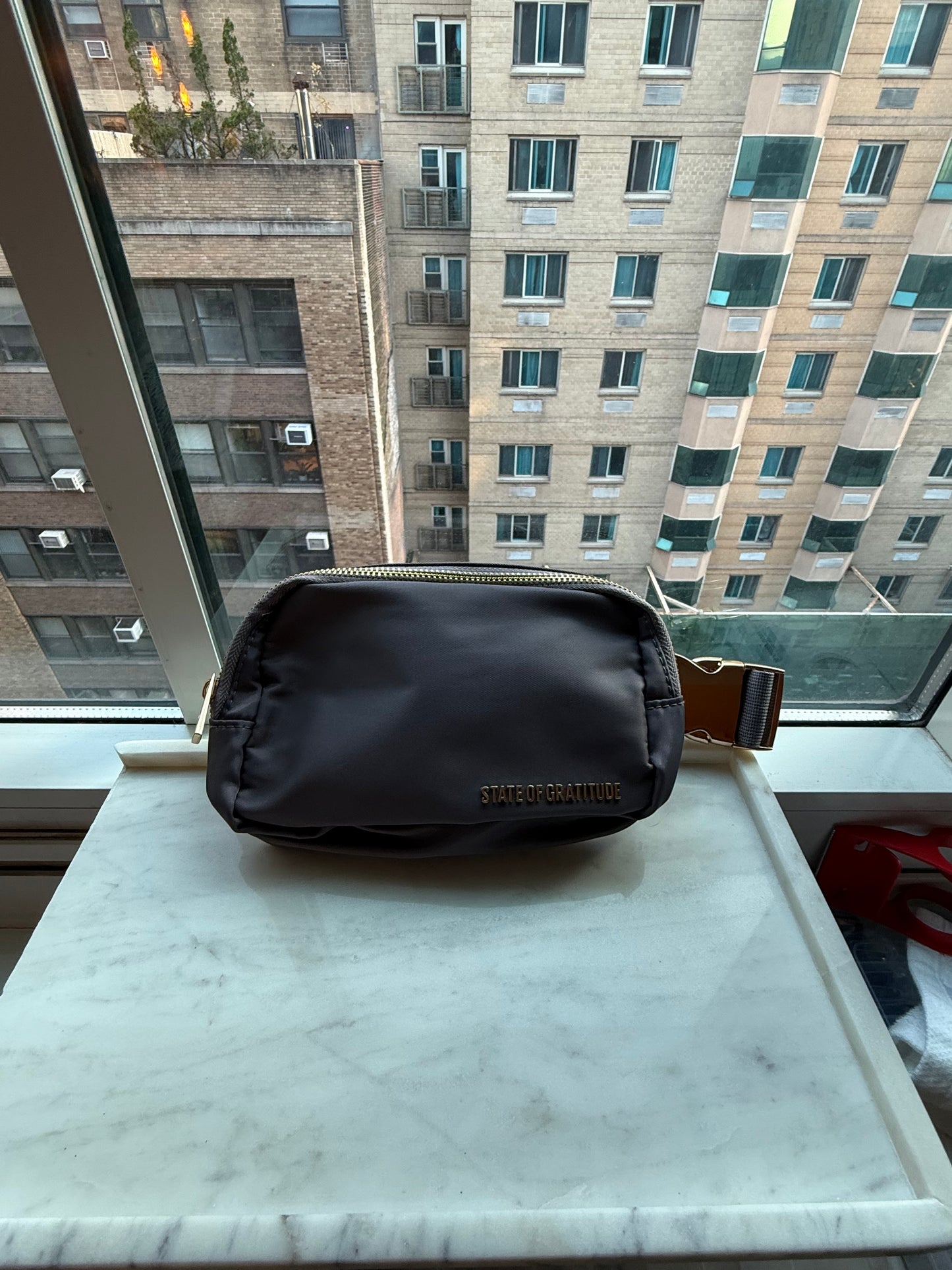 The Belt Bag