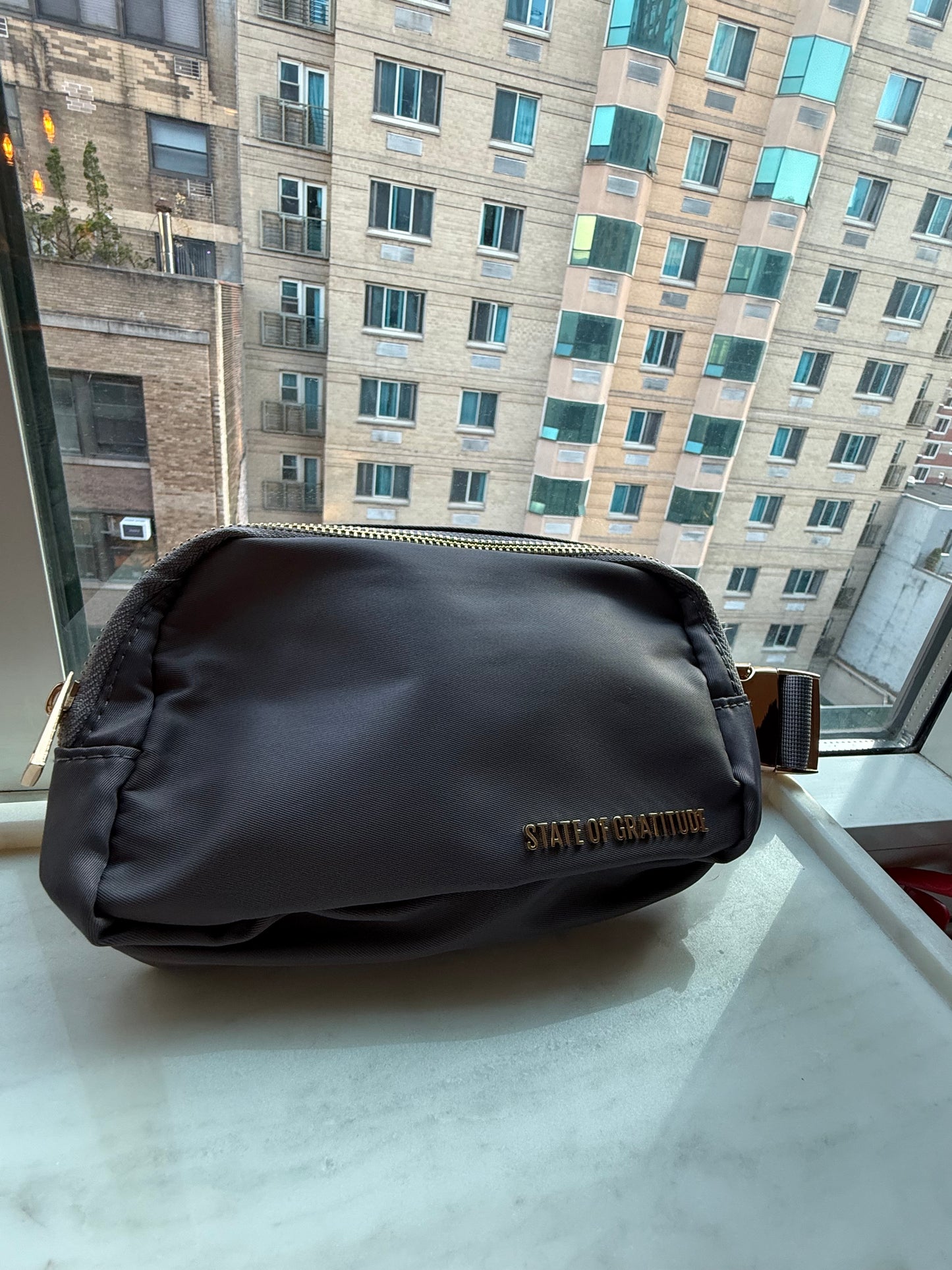 The Belt Bag