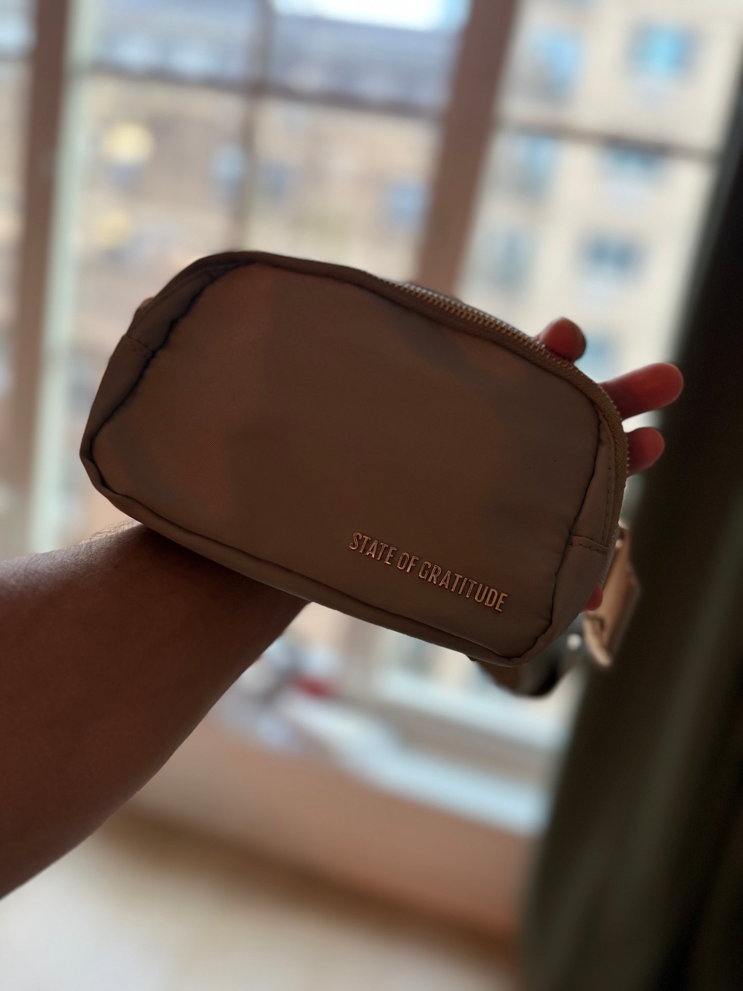 The Belt Bag