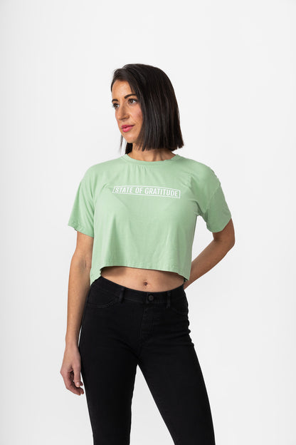 The Bamboo Crop (Washed/Dyed)